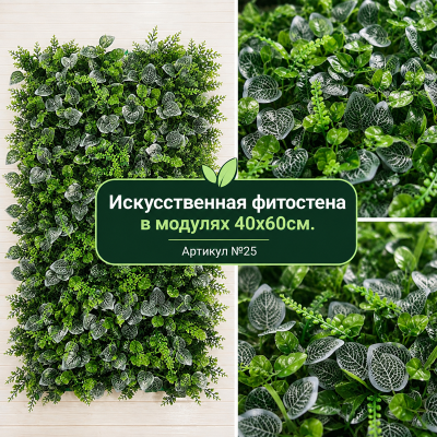 25 главная